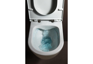 Инсталляция Grohe Rapid SL 38722001 с унитазом Laufen Pro Rimless 8209660000001 + 8989660000001 SoftClose