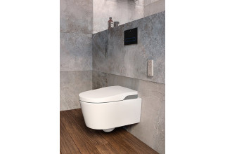 Унитаз подвесной Roca Inspira In-Wash 803060001