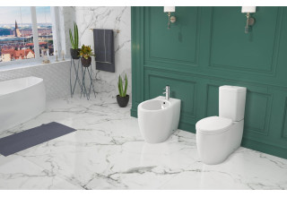 Унитаз напольный Lavinia Boho Elegant 3303001Р SoftClose