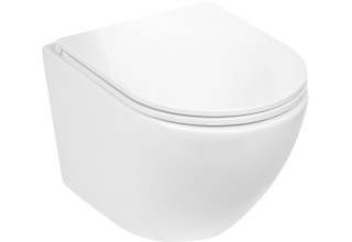 Унитаз Welt-Wasser MERZBACH 004GL-WT подвесной