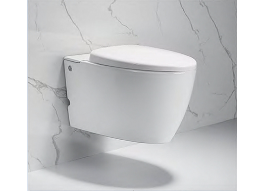 Подвесной унитаз CeruttiSpa Kanin Aria C-375C 38,5x59,5 с инсталляцией с импульсным смывом SoftClose