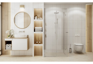 Душевое ограждение Ambassador Nord 13011108