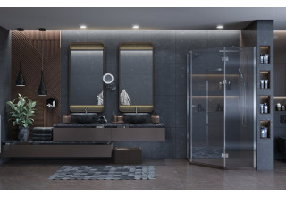 Душевое ограждение Ambassador Diamond 12011111R