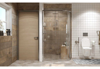 Душевое ограждение Ambassador Queen 11011103L