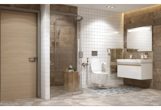 Душевое ограждение Ambassador Queen 11011103L