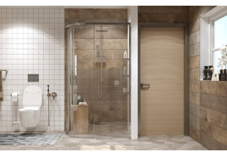 Душевое ограждение Ambassador Queen 11011103R