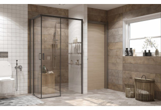 Душевое ограждение Ambassador Queen 11011205R Black