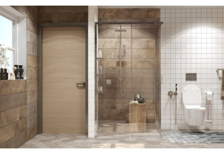 Душевое ограждение Ambassador Queen 11011106L