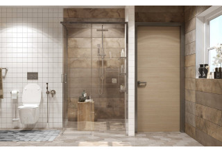 Душевое ограждение Ambassador Queen 11011106R