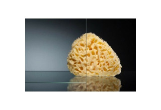 Душевой уголок Veconi Rovigo 100х90х195 стекло прозрачное профиль хром RV19-10090PR-01-19C1